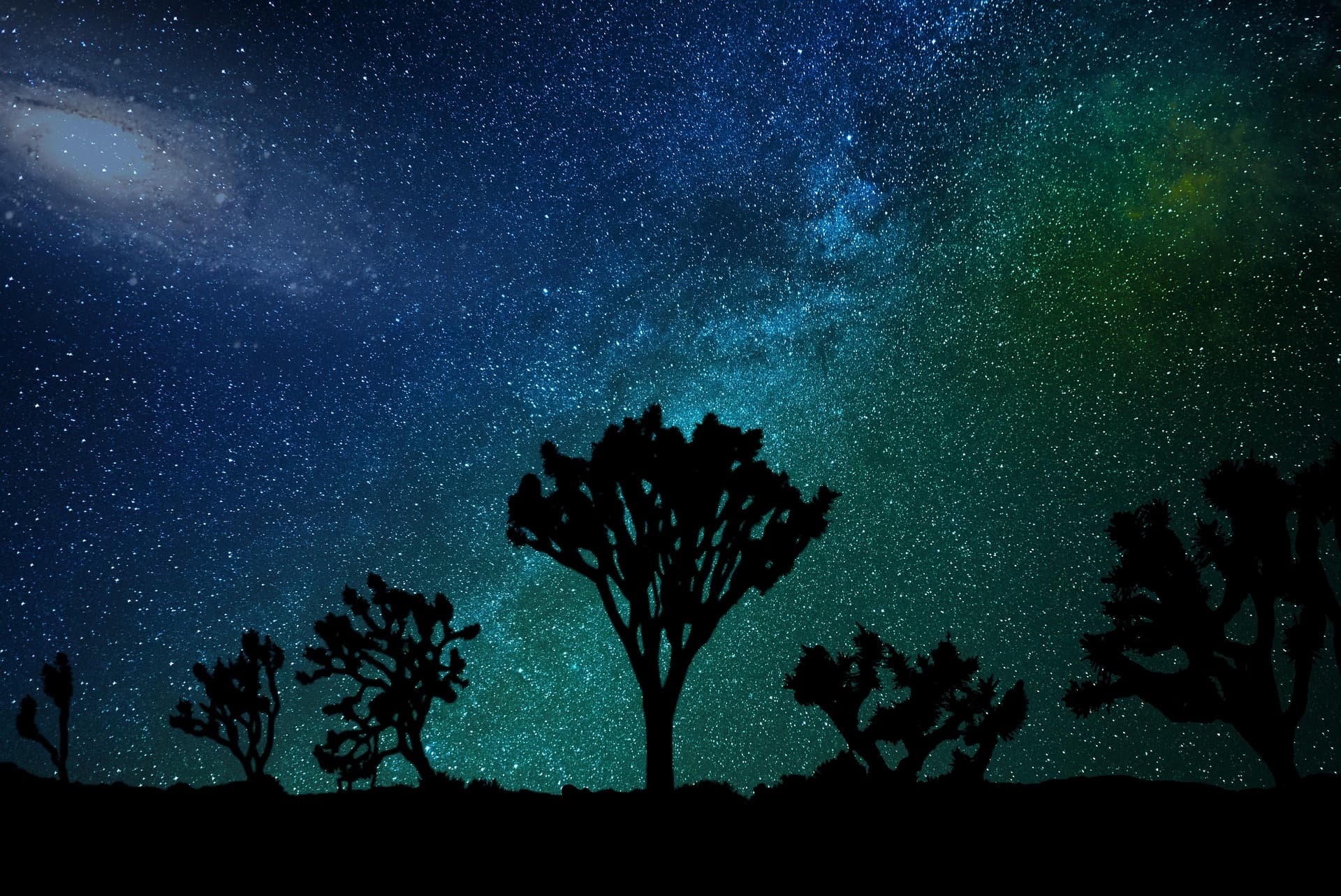 Joshua trees silhouetted against the Milky Way in the California high desert