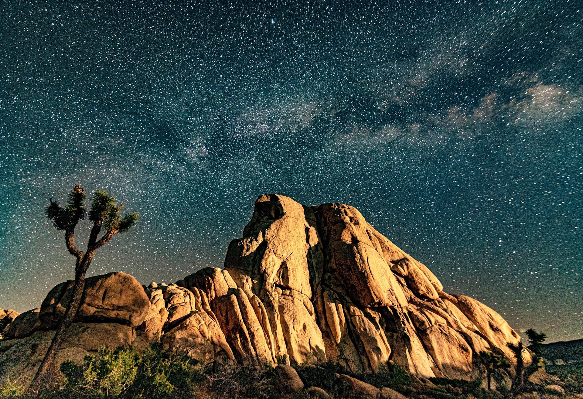 Moonlit granite boulders and a Joshua tree beneath the Milky Way in the Joshua Tree desert