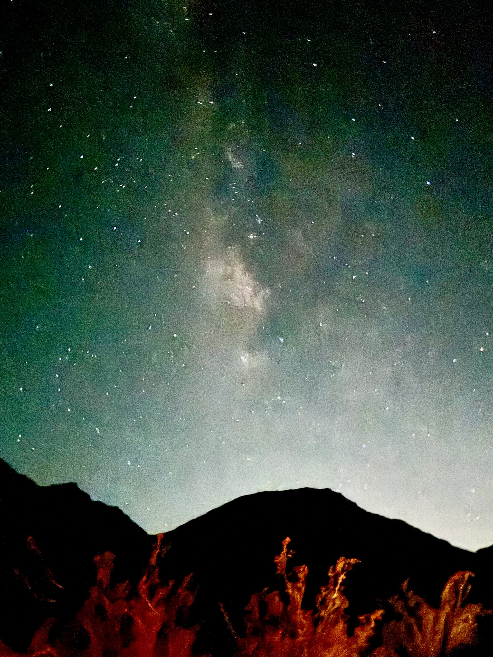 The Milky Way and green airglow over a mountain silhouette, with Joshua trees lit orange by a campfire in the foreground