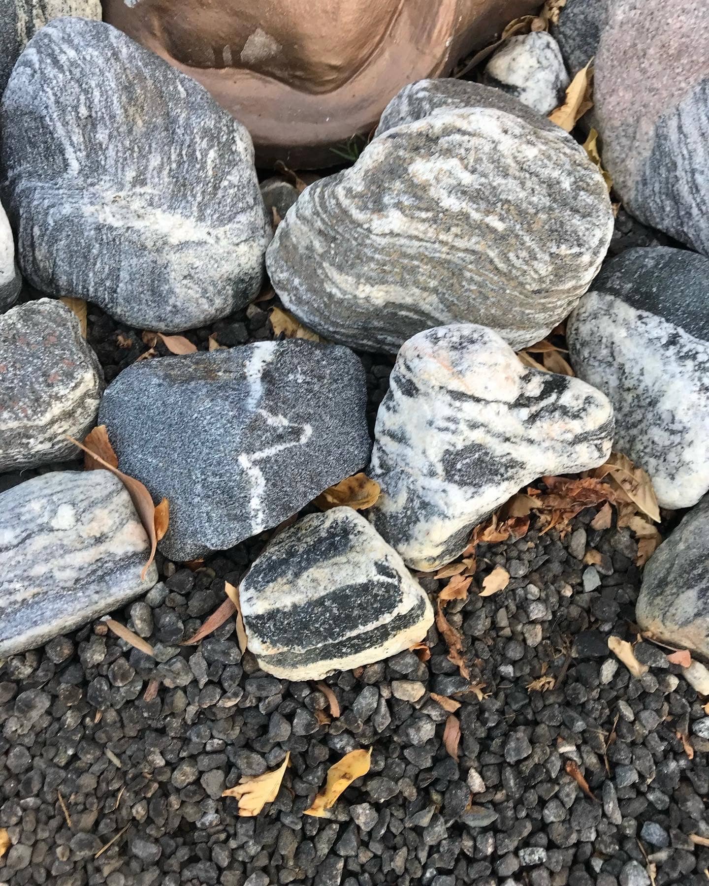 A bed of rounded Mojave Desert cobbles of many kinds, some evenly speckled like granite, some strongly striped in black and white, and one crossed by a bright white quartz vein